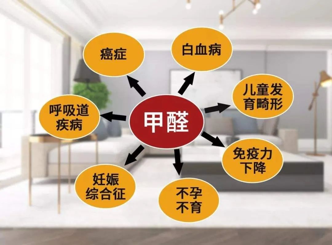疫情當(dāng)下，更要把家打造成健康的堡壘(圖4)