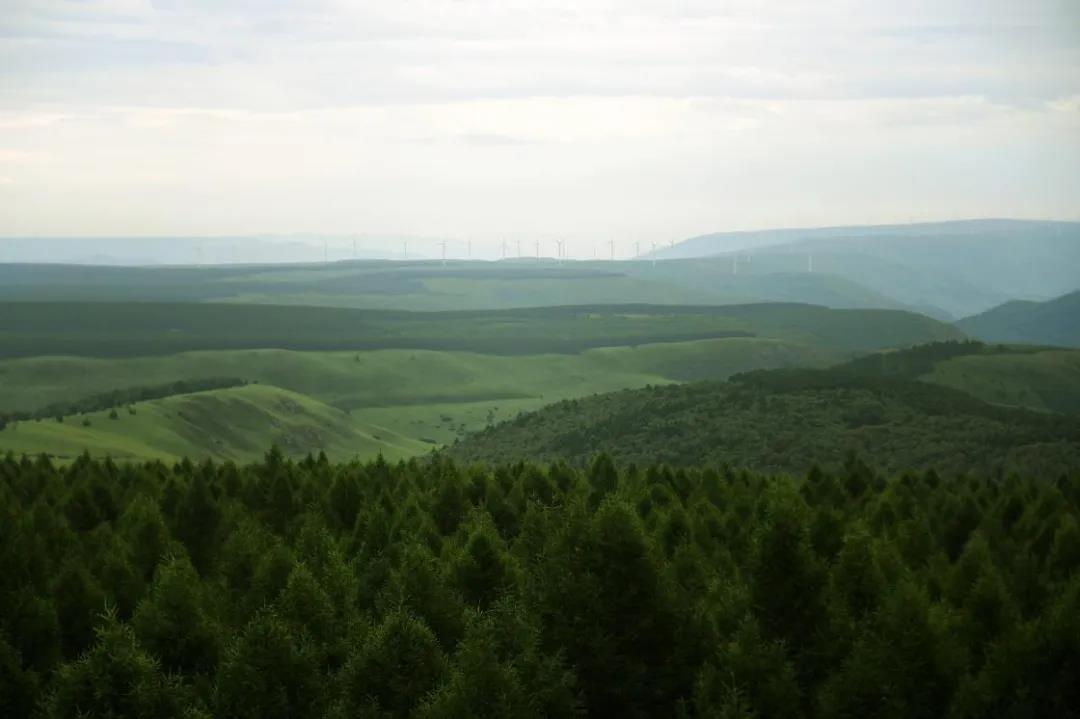 推薦 | 選華洲無(wú)醛添加實(shí)木顆粒板,讓家人遠(yuǎn)離甲醛傷害!(圖1)