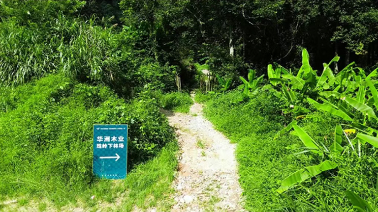 官網(wǎng)2.jpg 官網(wǎng)2.jpg
